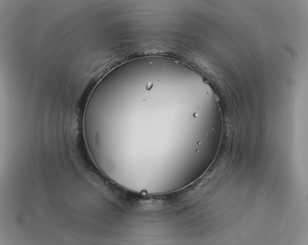 X0000113990362200910161652