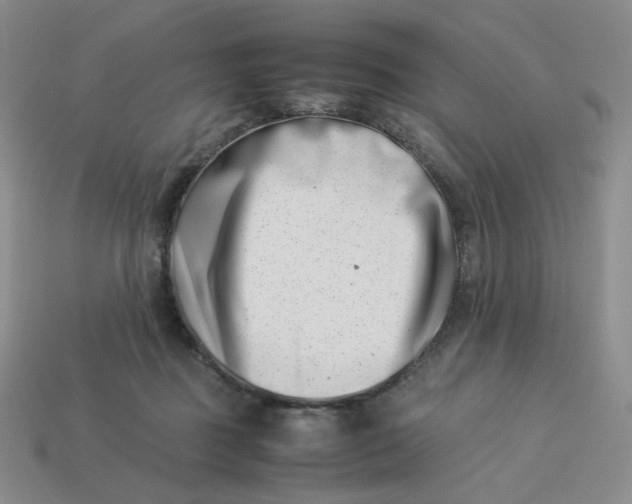 X0000113990363200910161652