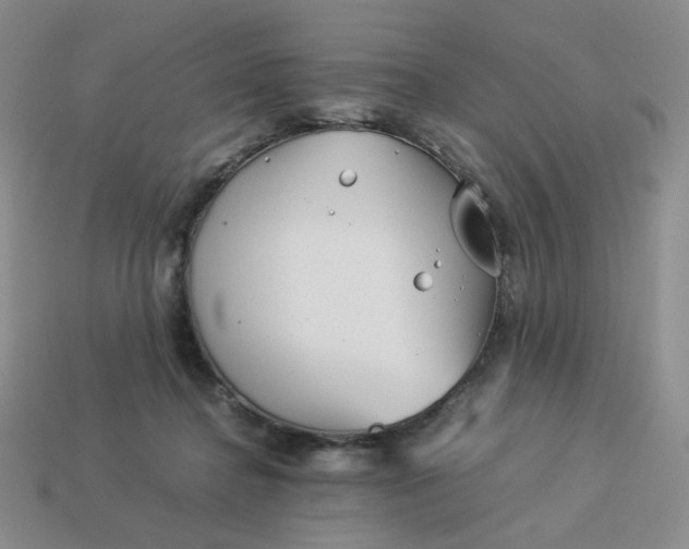 X0000113990364200910161652