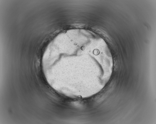 X0000113990365200910161652