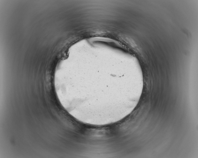 X0000113990366200910161652