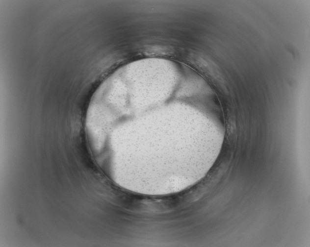 X0000113990367200910161652