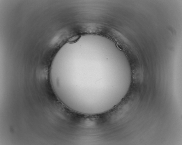 X0000113990368200910161652