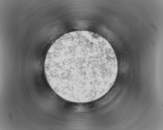 X0000113990370200910161652