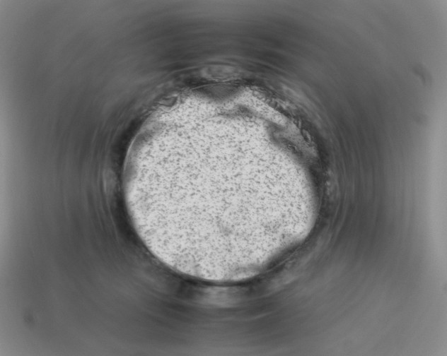 X0000113990371200910161652