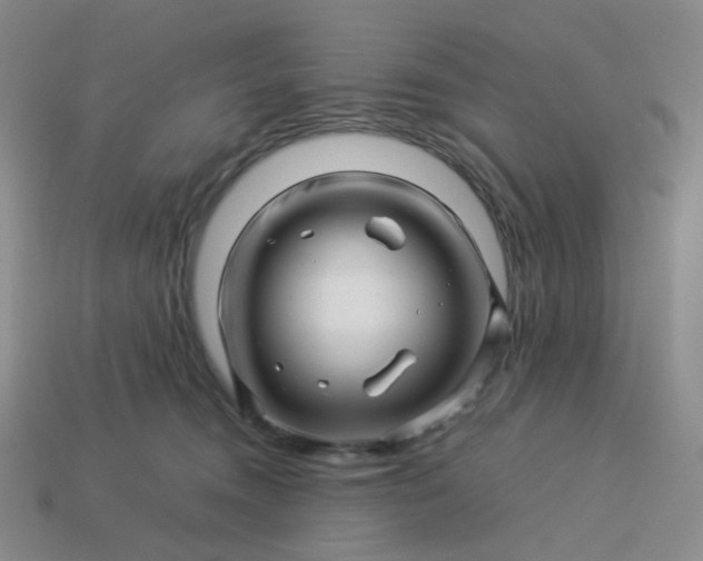 X0000113990372200910161652