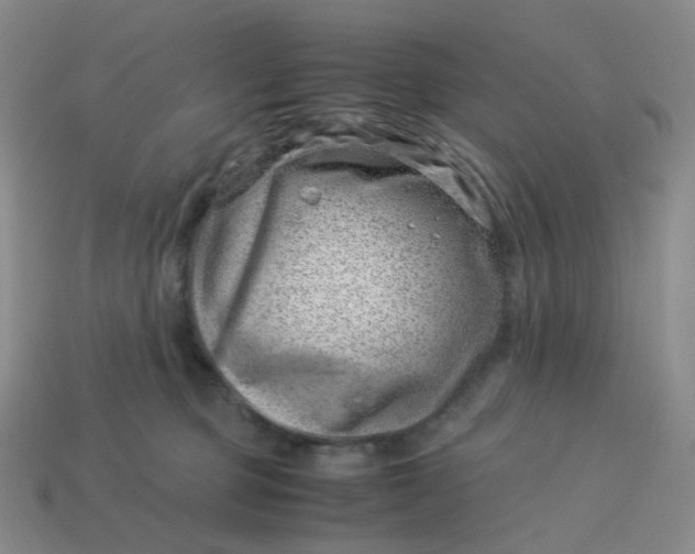 X0000113990373200910161652