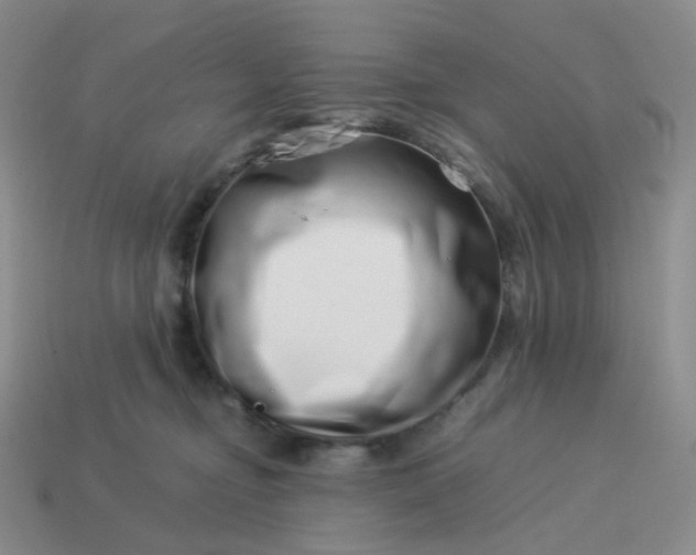 X0000113990374200910161652