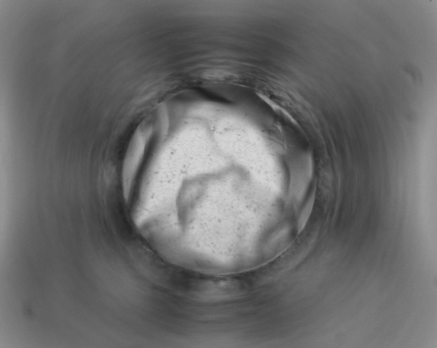 X0000113990375200910161652