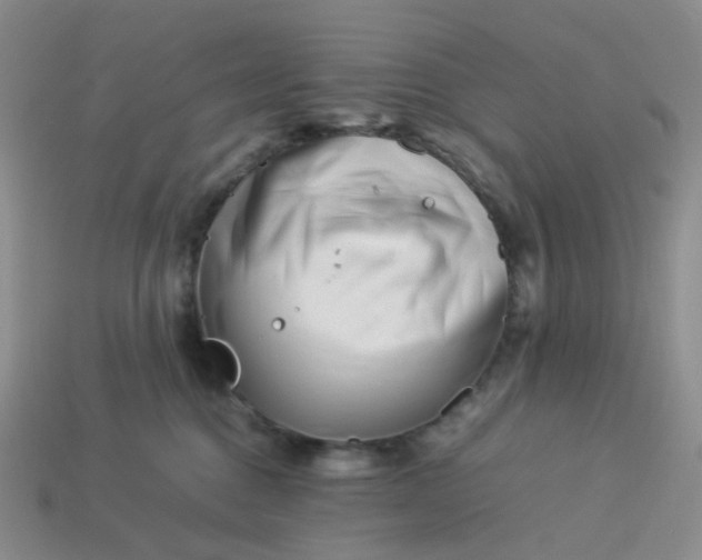 X0000113990376200910161652