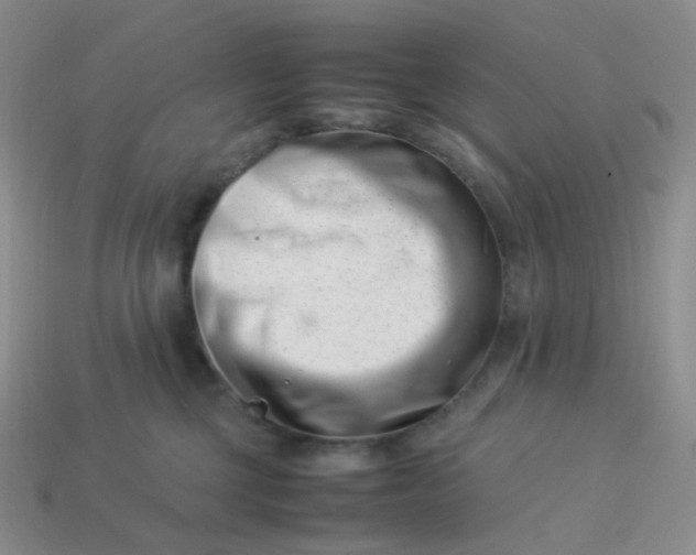 X0000113990377200910161652