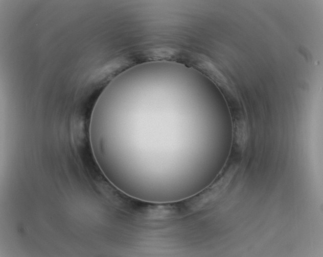 X0000113990378200910161652