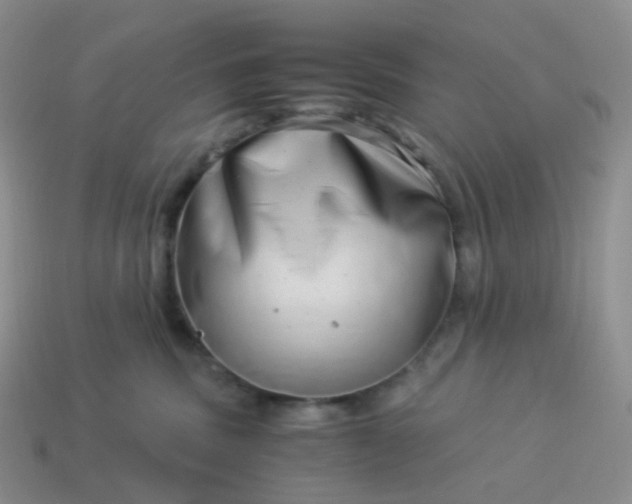 X0000113990379200910161652