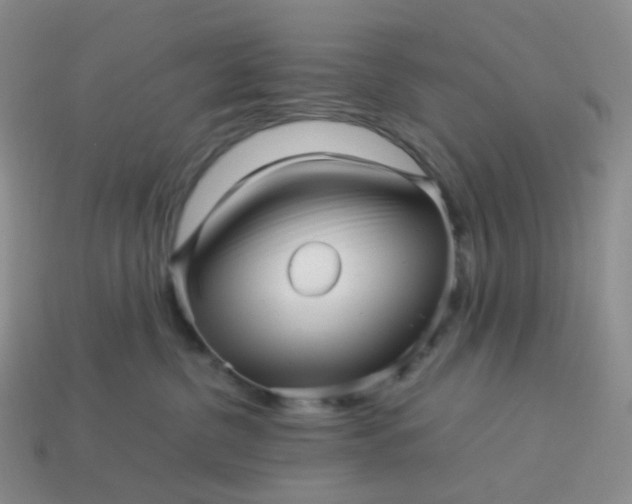 X0000113990380200910161652