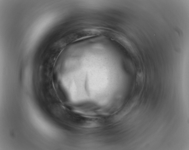 X0000113990381200910161652