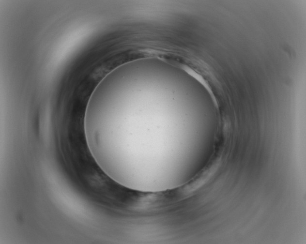 X0000113990382200910161652