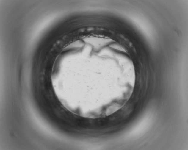 X0000113990383200910161652