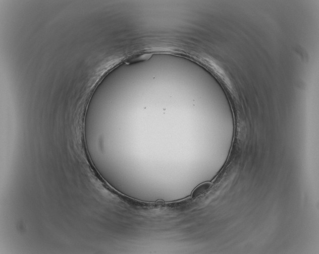 X0000113990385200910161652