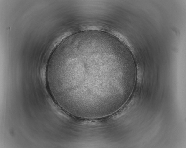 X0000113990386200910161652