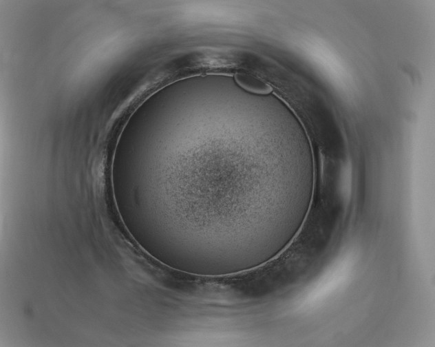 X0000113990387200910161652