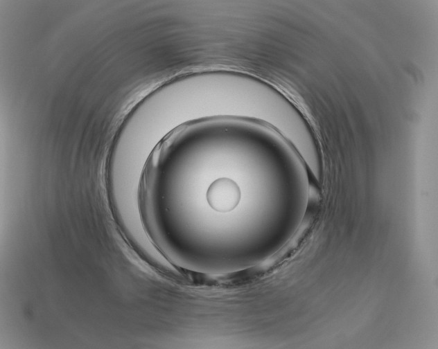 X0000113990389200910161651