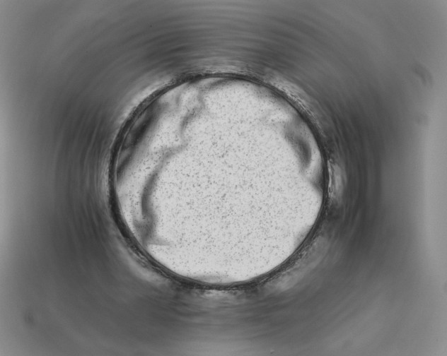 X0000113990390200910161651