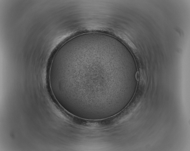 X0000113990391200910161651