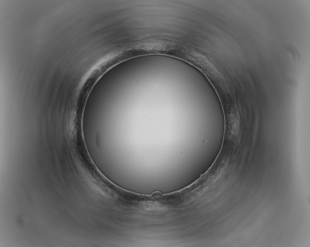 X0000113990392200910161651