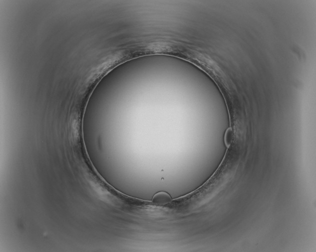 X0000113990393200910161651