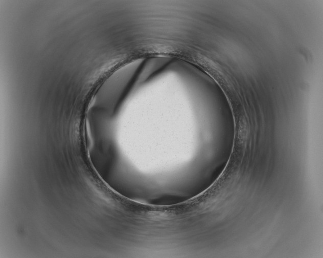 X0000113990394200910161651