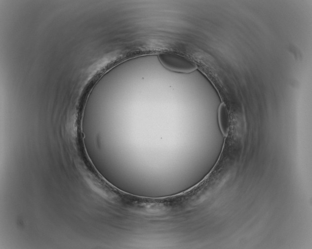 X0000113990395200910161651