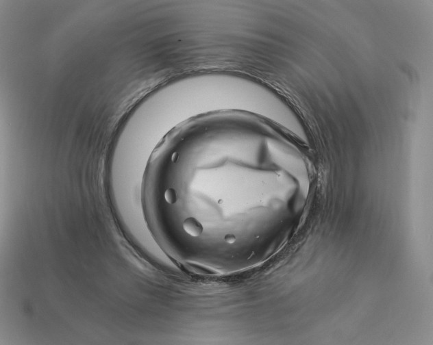 X0000113990397200910161651