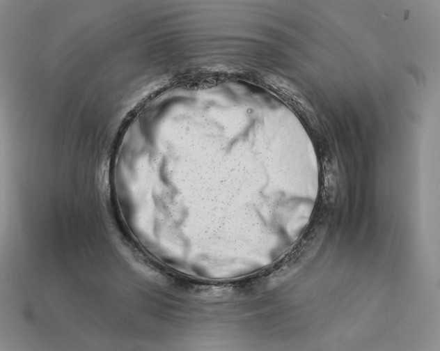 X0000113990398200910161651