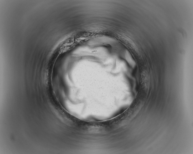 X0000113990400200910161651