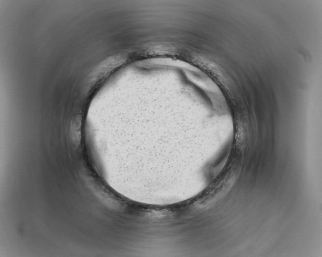 X0000113990402200910161651