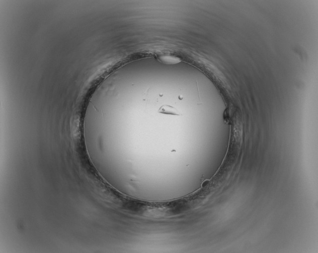 X0000113990403200910161651