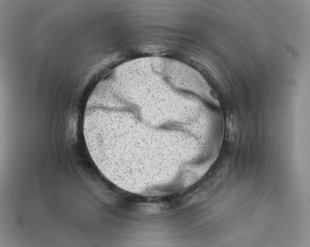 X0000113990404200910161651