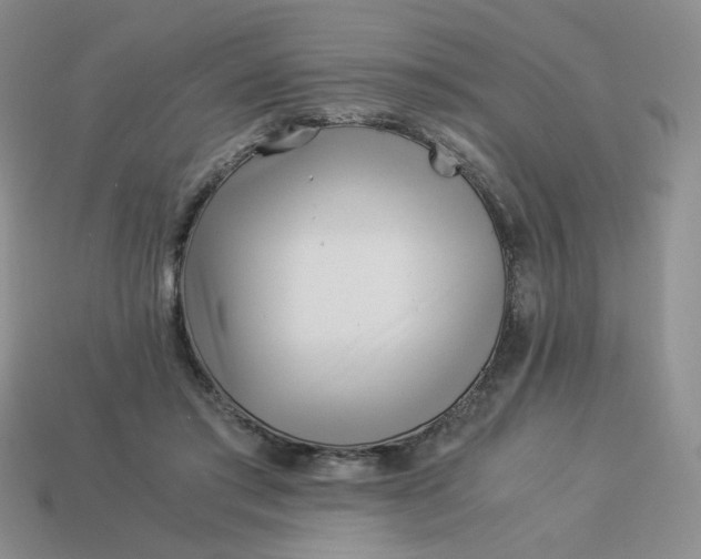 X0000113990405200910161651