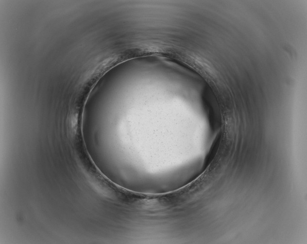 X0000113990406200910161651