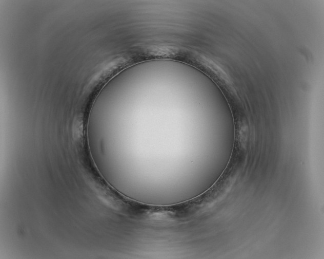 X0000113990407200910161651