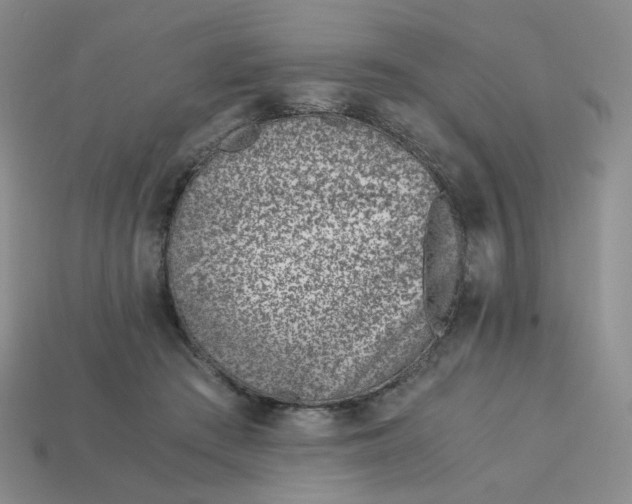 X0000113990409200910161651