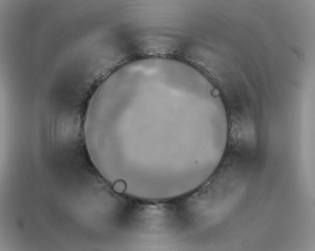 X0000113990411200910161651