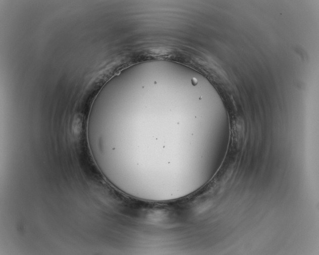 X0000113990412200910161651