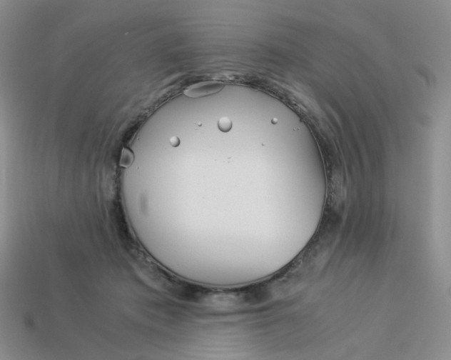 X0000113990413200910161651