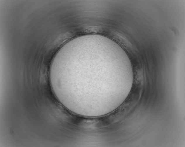 X0000113990414200910161651