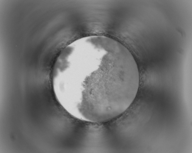 X0000113990415200910161651