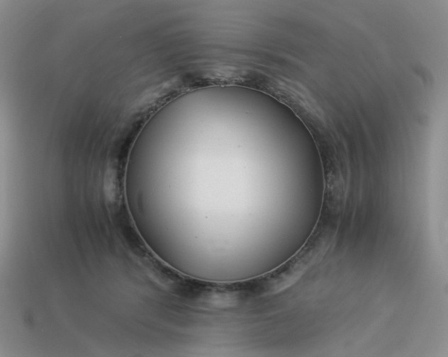 X0000113990416200910161651