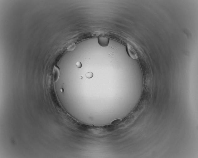 X0000113990417200910161651