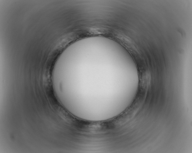 X0000113990418200910161651