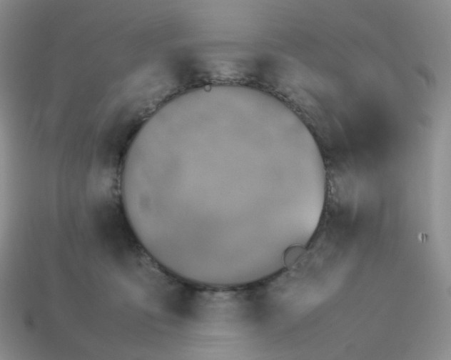 X0000113990419200910161651